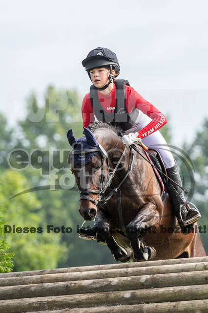 Goldene Schärpe 2021 - Ponys