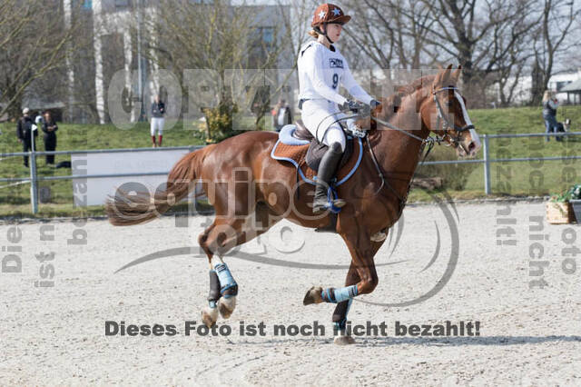 Eventing Langenfeld 2018
