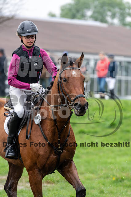 Goldene Schärpe 2020 - Pferde