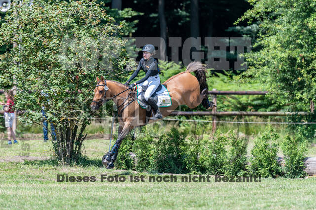 Goldene Schärpe 2021 - Ponys