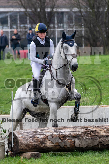 Goldene Schärpe 2020 - Pferde