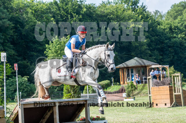 Goldene Schärpe 2021 - Ponys