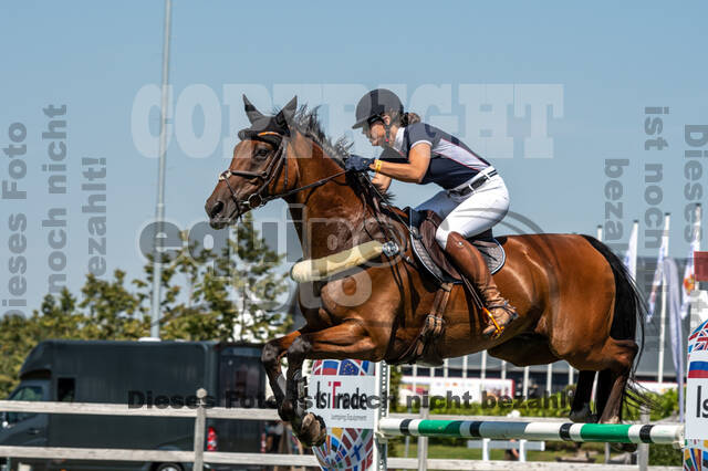 Kronenberg - De Peelbergen (August 2020)