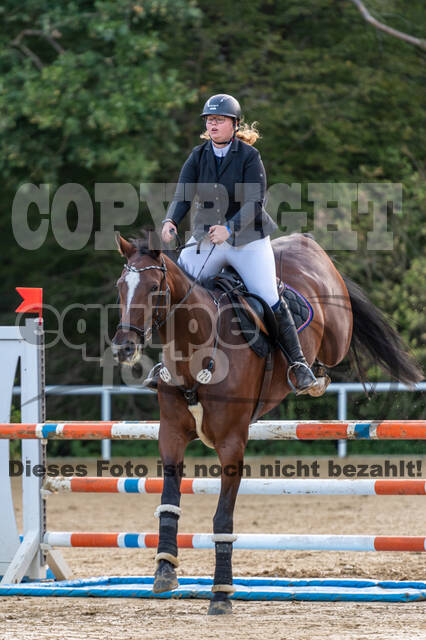 RFV Dinslaken-Hiesfeld (Herbstturnier)