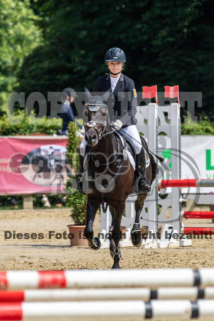Goldene Schärpe 2021 - Ponys