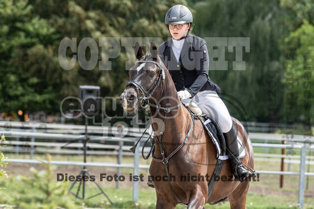 Late-Entry-Vielseitigkeit Langenfeld (06.+07.07.2020)