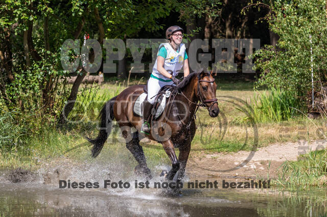 Late-Entry Vielseitigkeit Hamminkeln/Wesel (01.+02.08.2020)