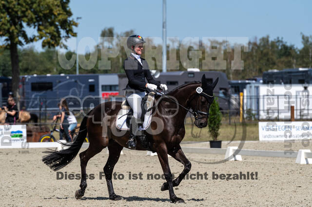 Kronenberg - De Peelbergen (August 2020)