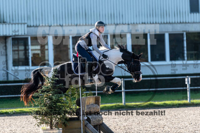 IGV Lehrgang der Sieger der Cups mit Frank Ostholt