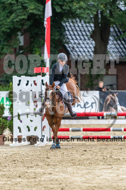 Goldene Schärpe 2021 - Ponys