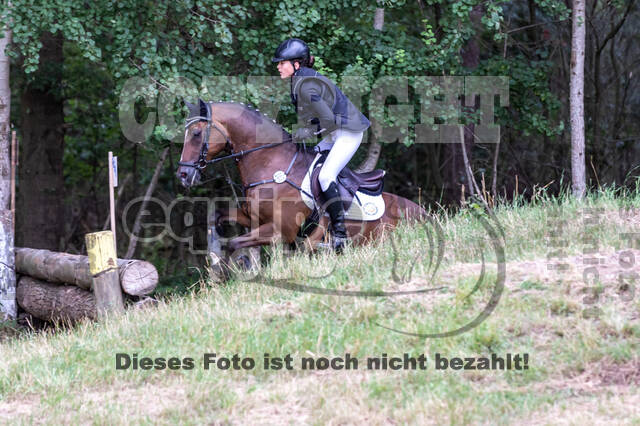 Late-Entry Vielseitigkeit Hamminkeln/Wesel (01.+02.08.2020)