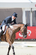 European Championship Eventing 2017