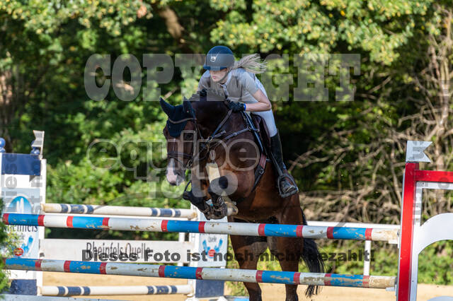 RFV Dinslaken-Hiesfeld (Herbstturnier)