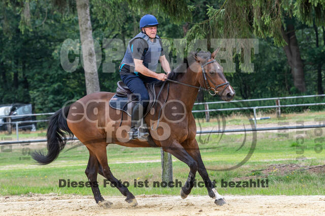 Hunter Geländetraining 10.07.2021 (Sonsbeck)