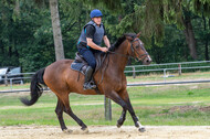Hunter Geländetraining 10.07.2021 (Sonsbeck)