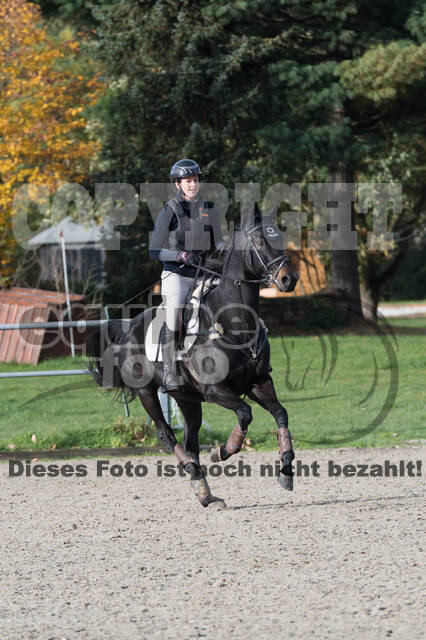 IGV Lehrgang der Sieger der Cups mit Frank Ostholt