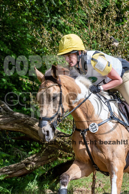 Westerstede Horse Trials 2021
