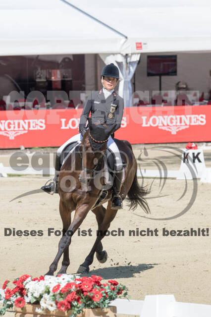 FEI European Championship Eventing 2017