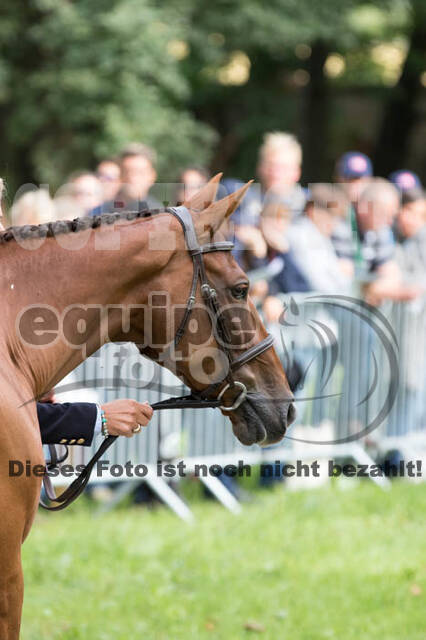 FEI European Championship Eventing 2017