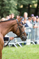 FEI European Championship Eventing 2017