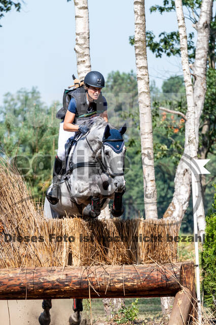 De Peelbergen (August 2020)