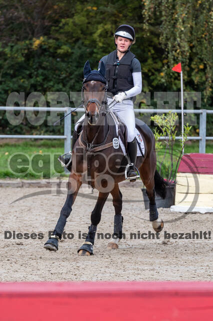 Goldene Schärpe 2020 - Pferde