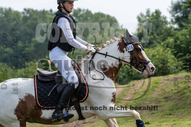 Goldene Schärpe 2021 - Ponys