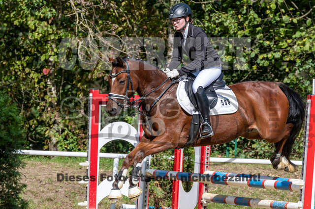 RFV Dinslaken-Hiesfeld (Herbstturnier)