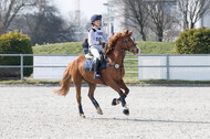 Eventing Langenfeld