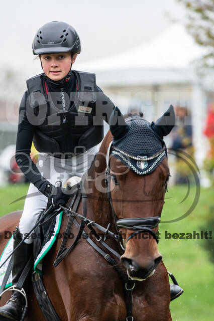 Goldene Schärpe 2020 - Pferde