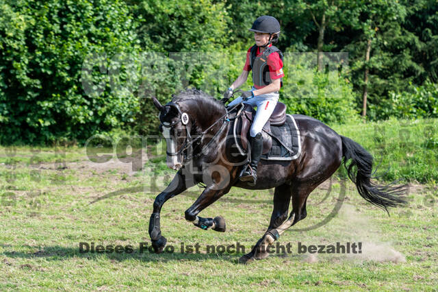 Goldene Schärpe 2021 - Ponys