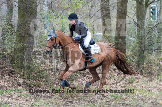 Eventing im Pferdesportzentrum Rheinland (Late Entry 14.03.2022)