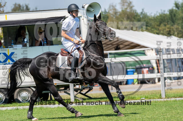 Kronenberg - De Peelbergen (August 2020)