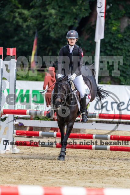 Goldene Schärpe 2021 - Ponys