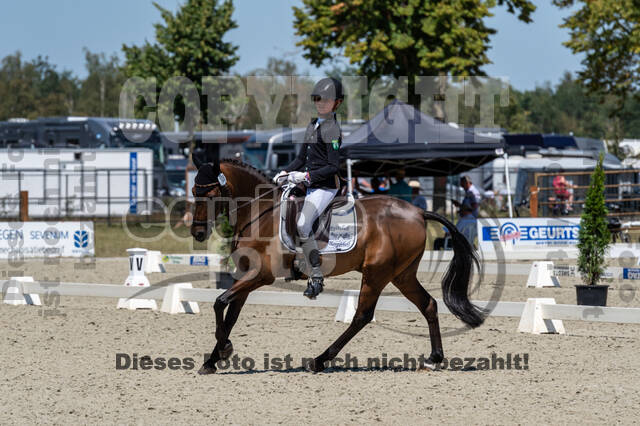 Kronenberg - De Peelbergen (August 2020)