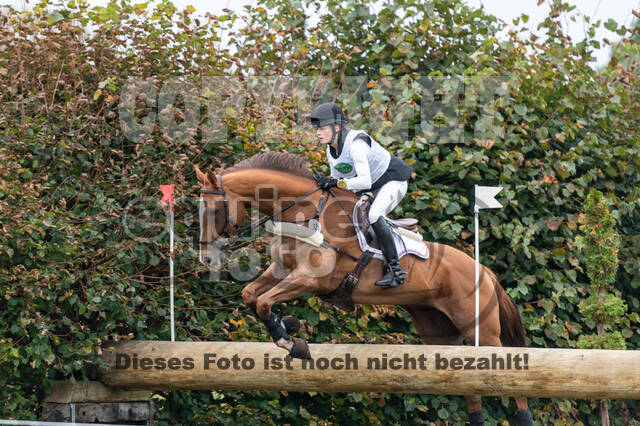 Deutsche Meisterschaft Vielseitigkeit (Luhmühlen)