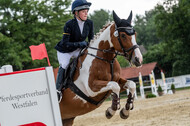 Goldene Schärpe 2021 - Ponys