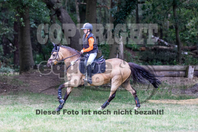 Late-Entry Vielseitigkeit Hamminkeln/Wesel (01.+02.08.2020)