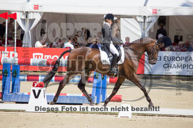 FEI European Championship Eventing 2017