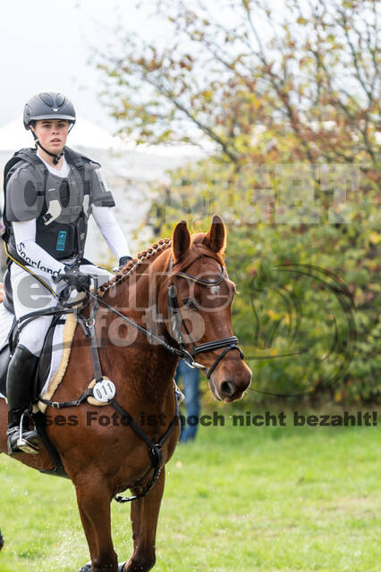 Goldene Schärpe 2020 - Pferde