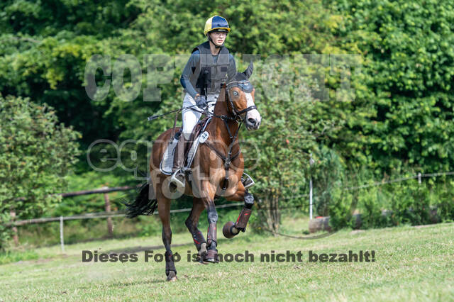 Goldene Schärpe 2021 - Ponys