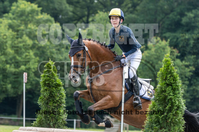 Goldene Schärpe 2021 - Ponys