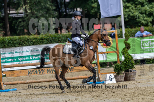 Goldene Schärpe 2021 - Ponys