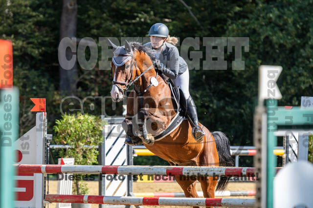 RFV Dinslaken-Hiesfeld (Herbstturnier)
