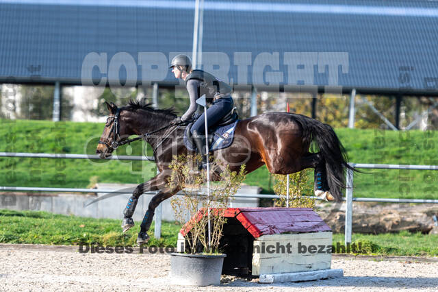 IGV Lehrgang der Sieger der Cups mit Frank Ostholt