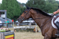 Late-Entry Vielseitigkeit Hamminkeln/Wesel (01.+02.08.2020)