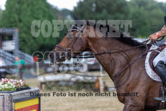 Late-Entry Vielseitigkeit Hamminkeln/Wesel (01.+02.08.2020)