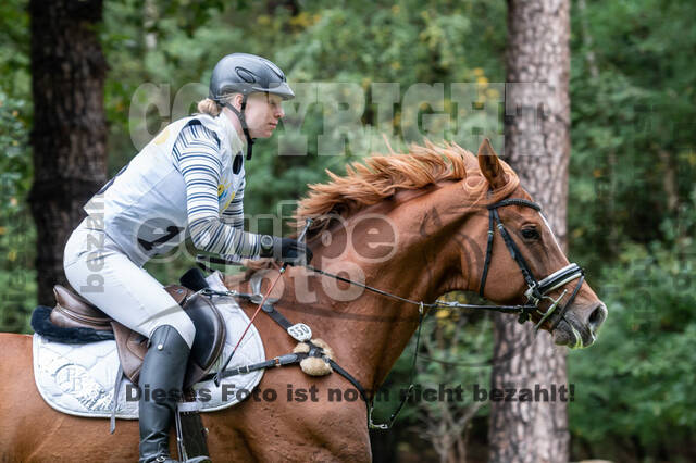 Vielseitigkeit RSV Wesel Obrighoven (26.+27.09.2020)