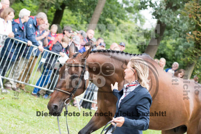 FEI European Championship Eventing 2017