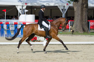 FEI European Championship Eventing 2017
